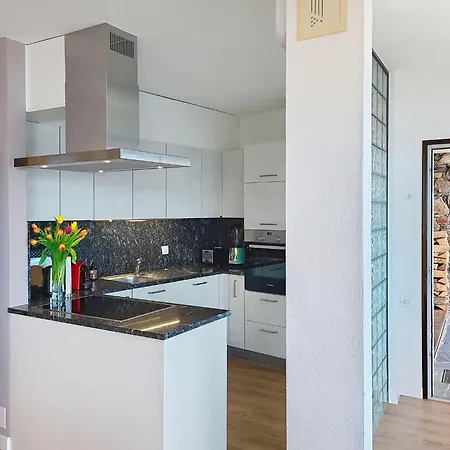 Apt- Tana Dei Leoni By Interhome Apartment Ronco sopra Ascona