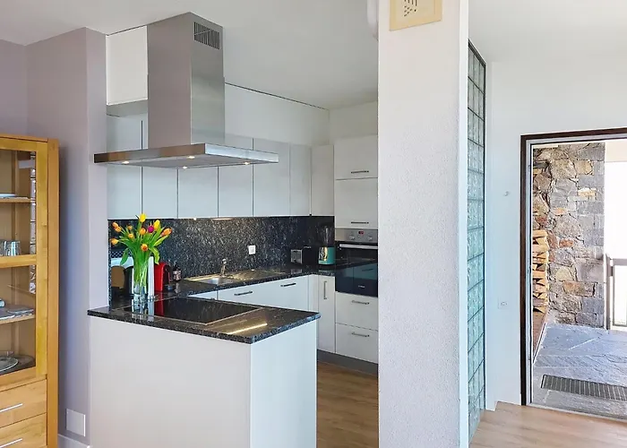 Apt- Tana Dei Leoni By Interhome Apartment Ronco sopra Ascona