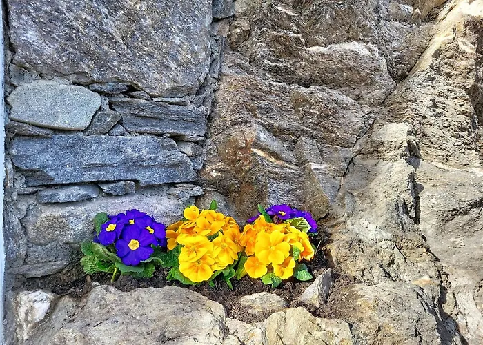 Apt- Tana Dei Leoni By Interhome * Ronco sopra Ascona